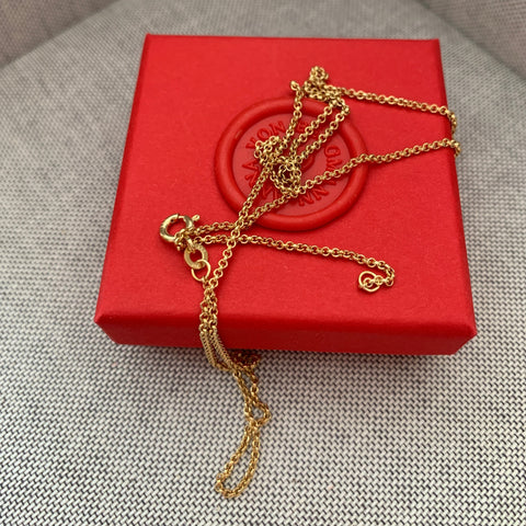 9 kt GOLDKETTE ERBSE