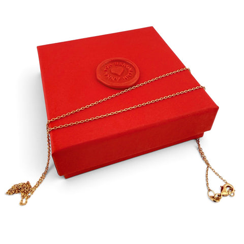ANNA VON BERGMANN feine goldplattierte Ankerkette auf einer roten Geschenkbox mit Wachssiegel