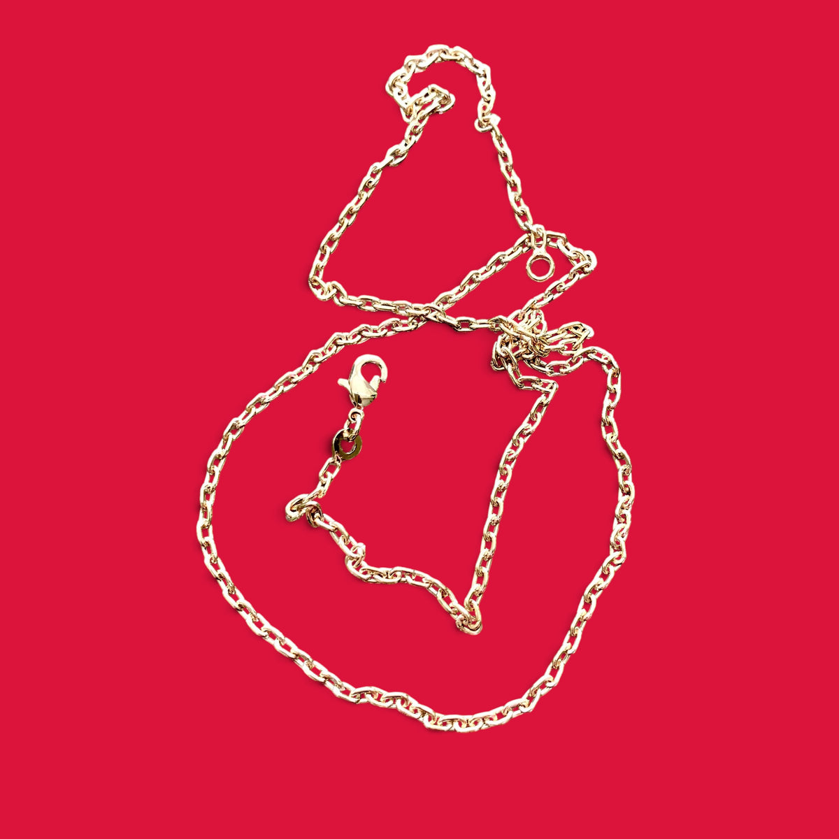 ANNA VON BERGMANN Family Ankerkette aus goldplattiertem Messing mit filigranen Kettengliedern auf rotem Hintergrund
